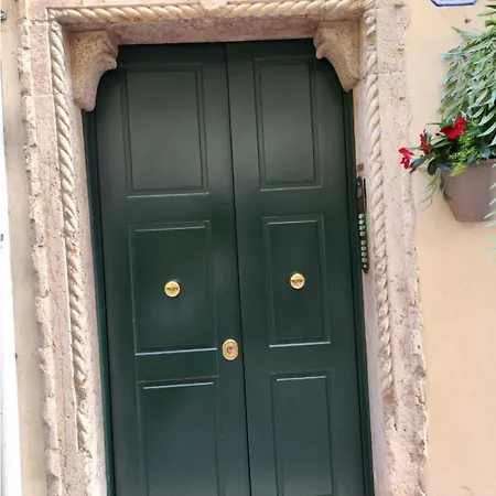 Vista Arena Di